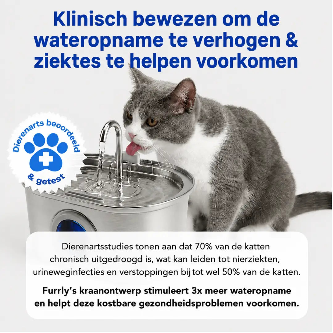 Katten drinkfontein