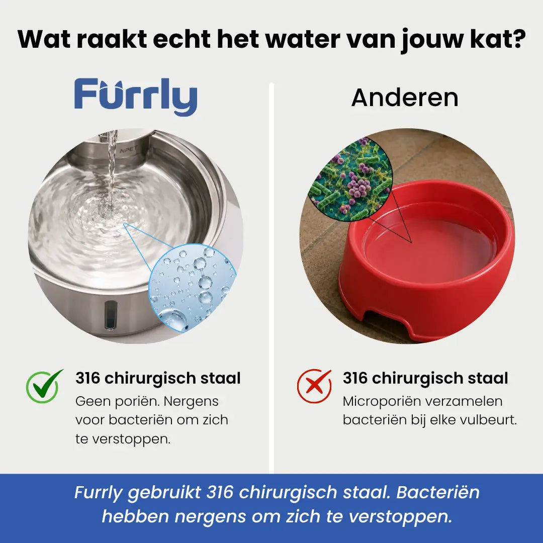 Katten drinkfontein