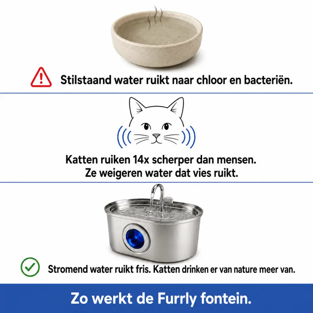 Katten drinkfontein