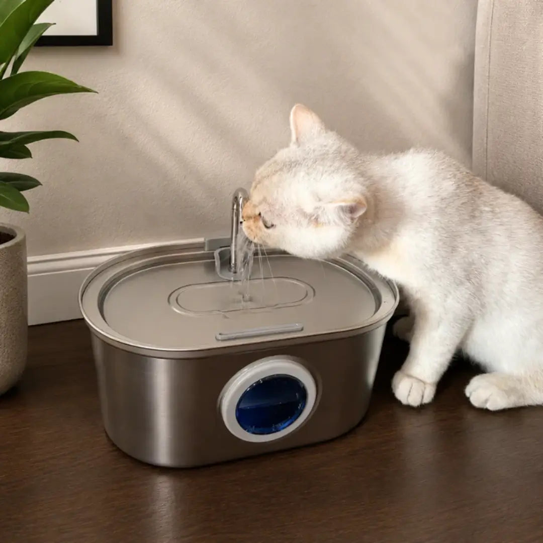 Katten drinkfontein