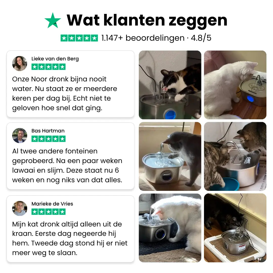 Katten drinkfontein